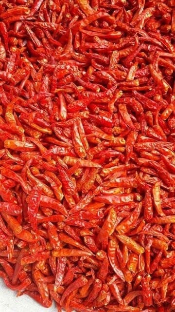 Vietnam Dried Chilli